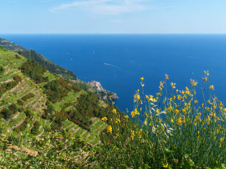casarza-ligure-natura-e-trekking